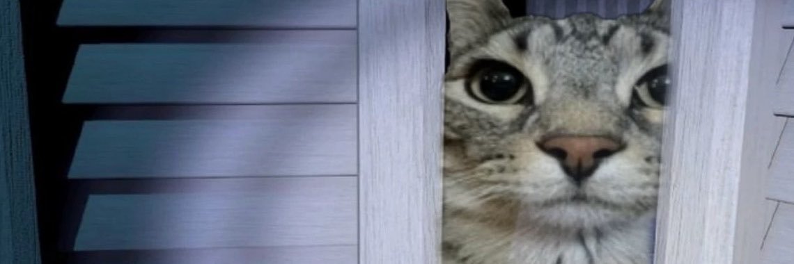vsxnya's profile banner image