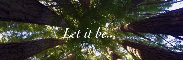 _LookingForCal_'s profile banner image