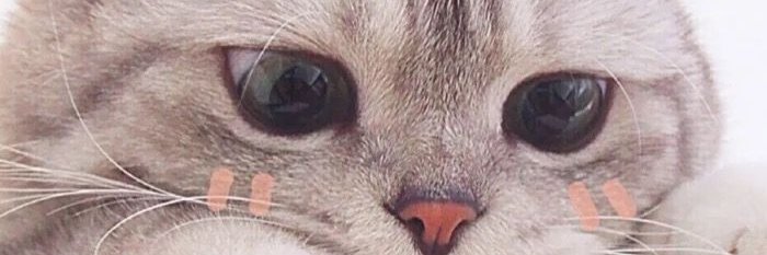 LadyBY9's profile banner image
