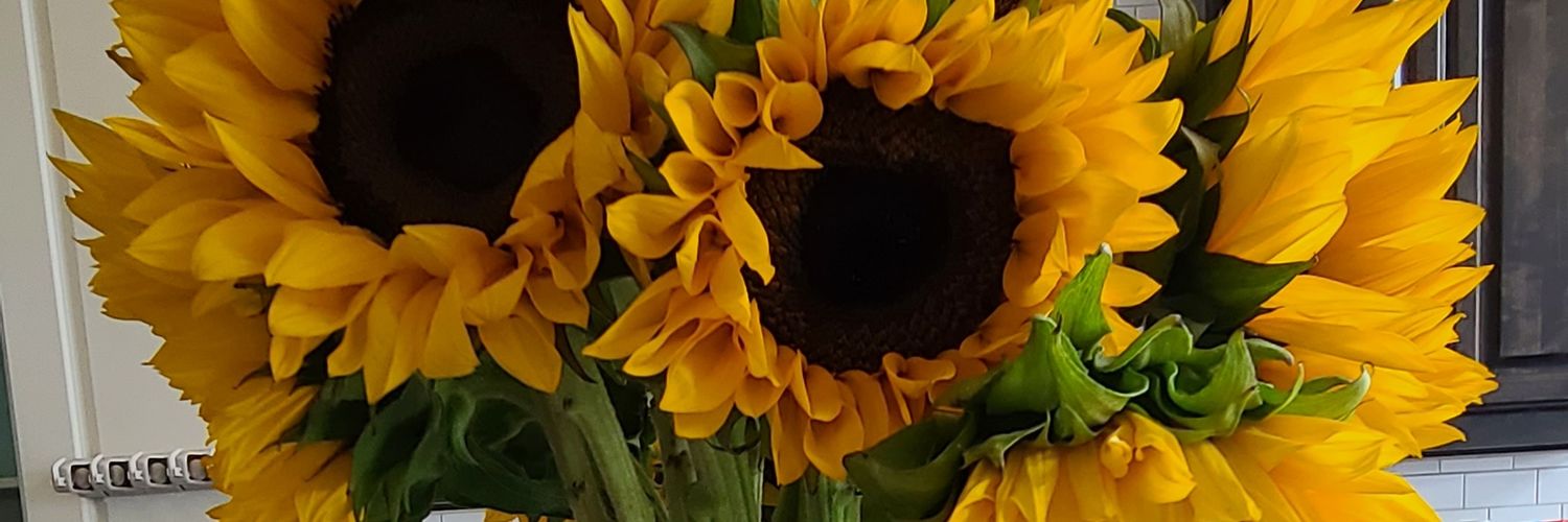 awakeandcreate's profile banner image