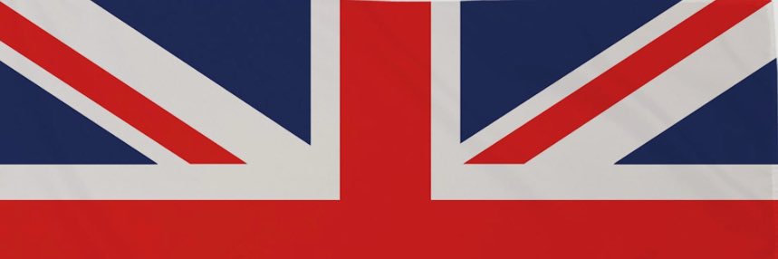 Wibsy 🌳🏆🏆 banner