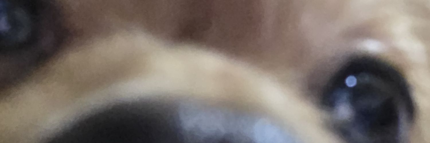 Merue4545's profile banner image