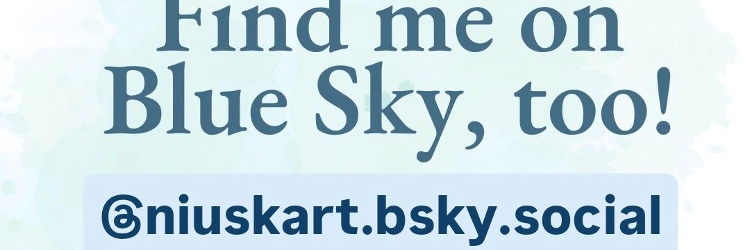 niuskart's profile banner image