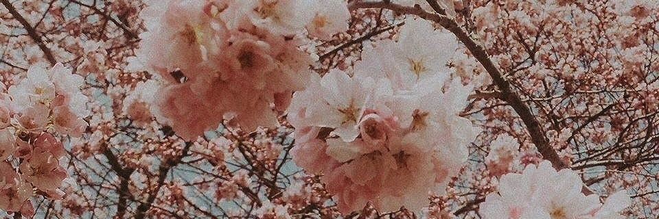guchiconca's profile banner image