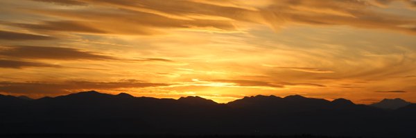 NIMALAPOCALYPSE Profile Banner