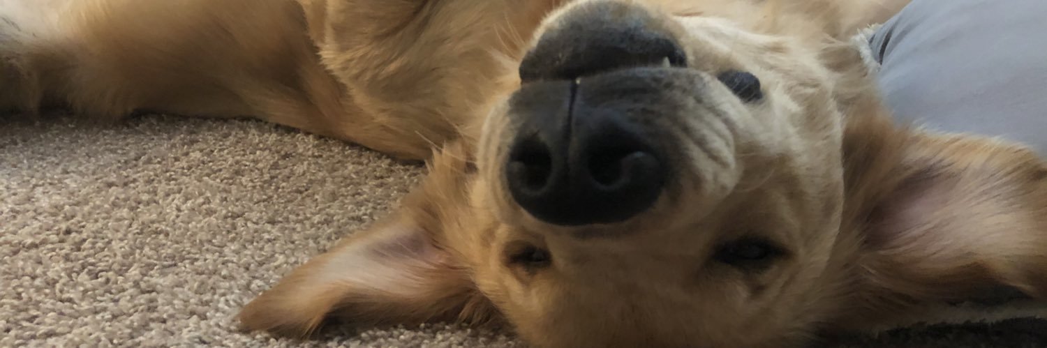 LexxiLongmore's profile banner image
