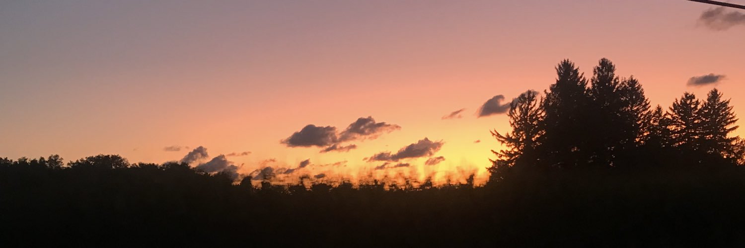 ellopapet's profile banner image