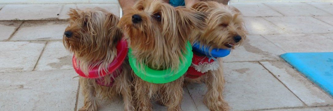 Rama "Nono" Gabilondo banner