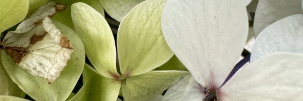 a_gando Profile Banner