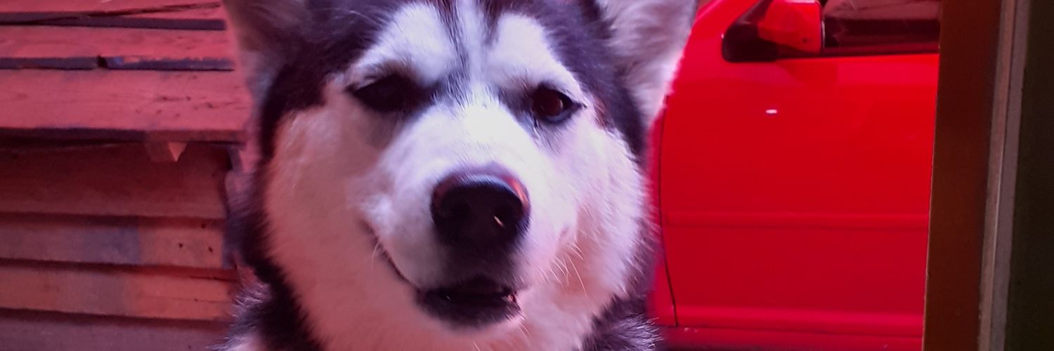 karlaabl4's profile banner image