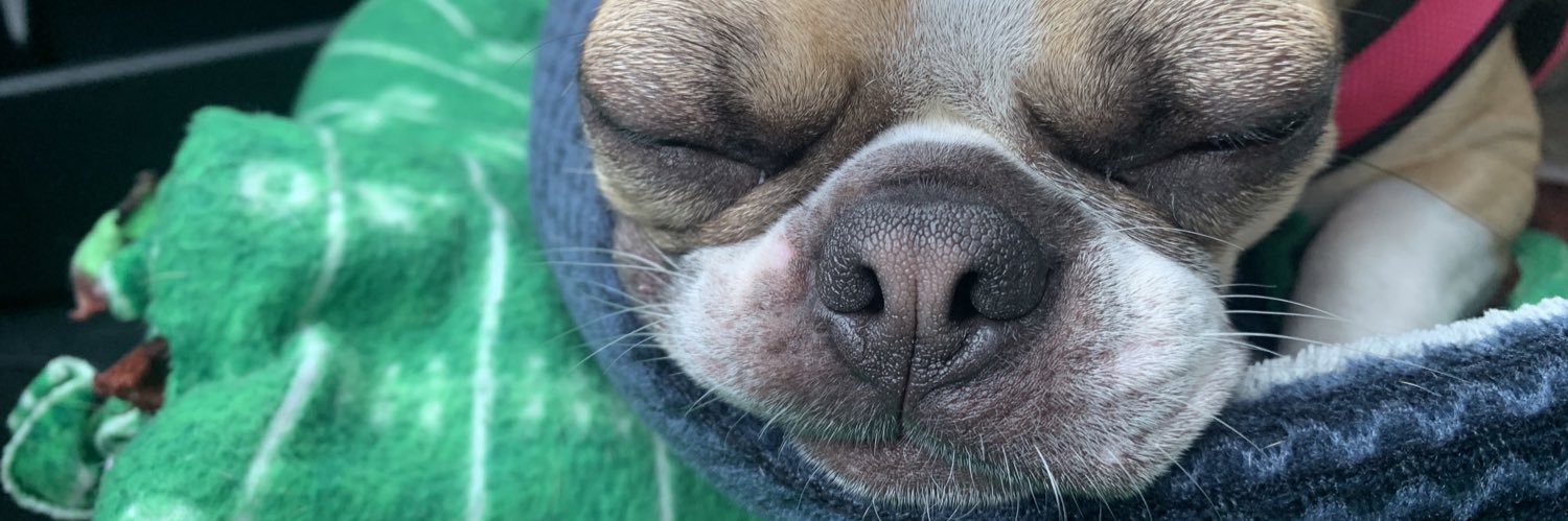 timmyy_p's profile banner image