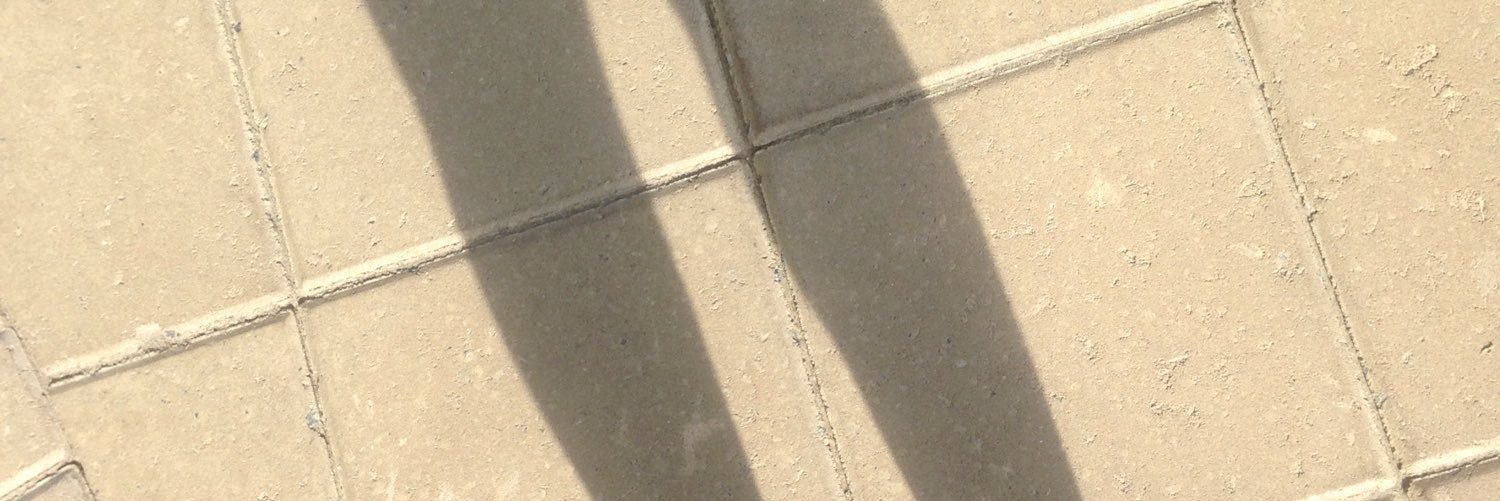 Cheryl Van Pelt banner