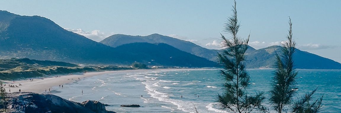 roberta banner