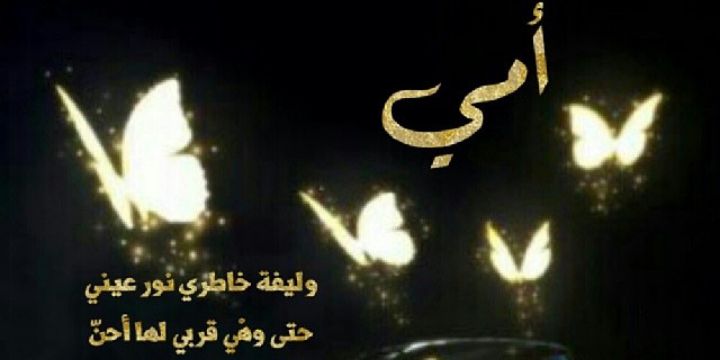 hnof4111's profile banner image