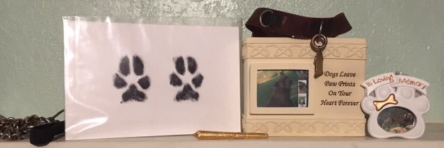 daniela_babii's profile banner image