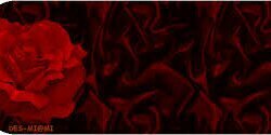 nn_raghad's profile banner image