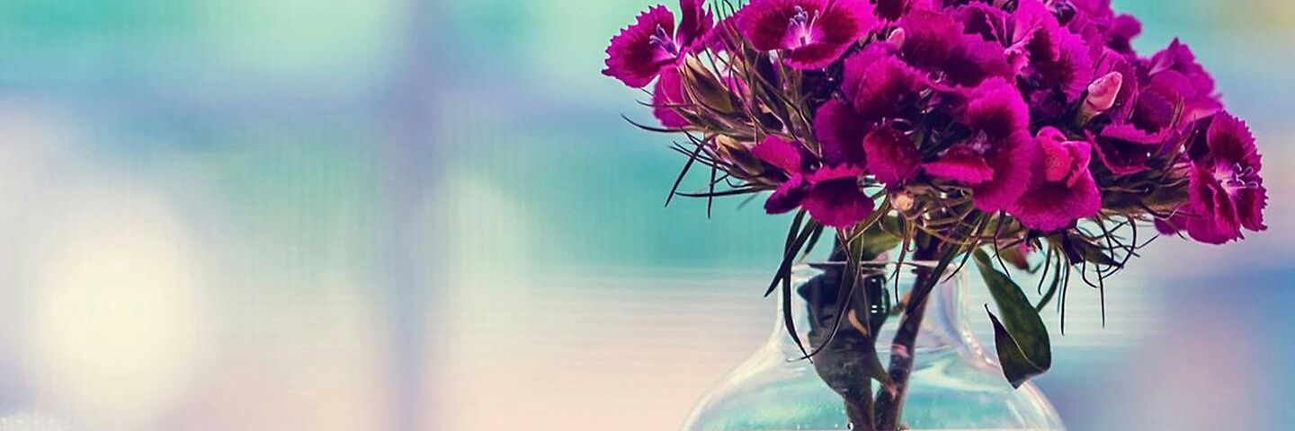 _Zeynep_uzun's profile banner image