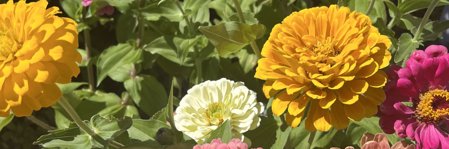 fernandaaaluu's profile banner image