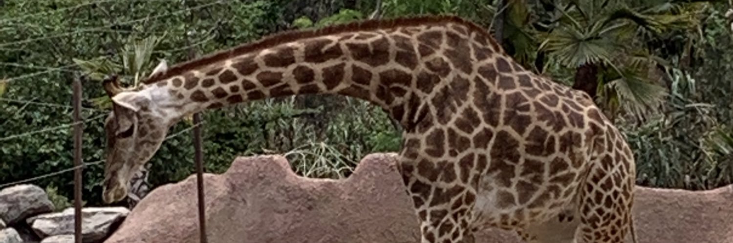 _jorc's profile banner image