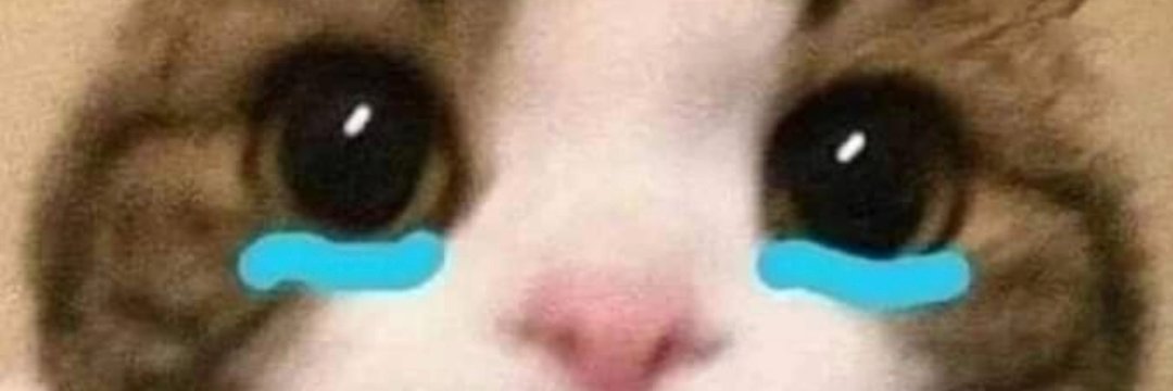 SamRockwell420 🇵🇸 18+ COMMS OPEN banner