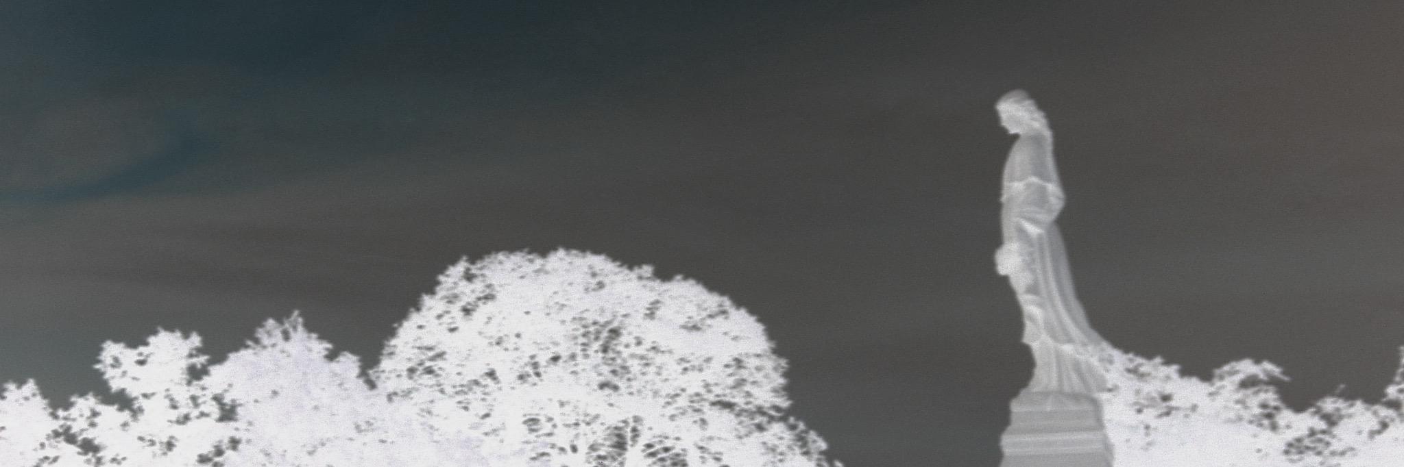 mttmartel's profile banner image