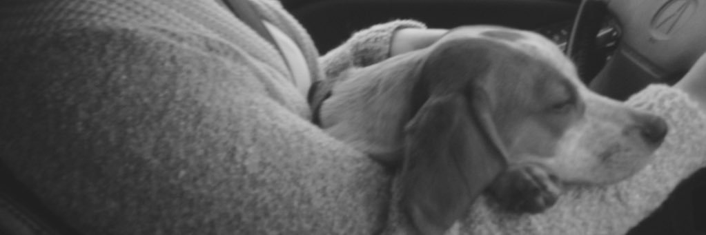 Austin Osborn banner