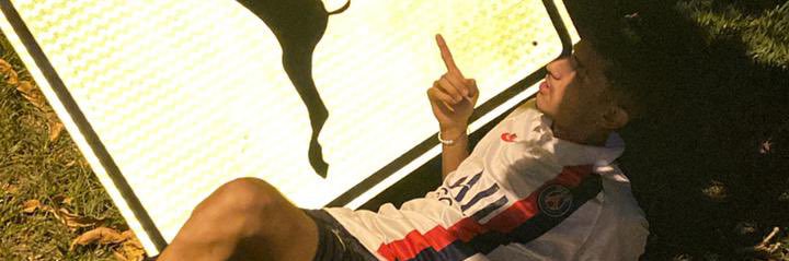 greibii's profile banner image