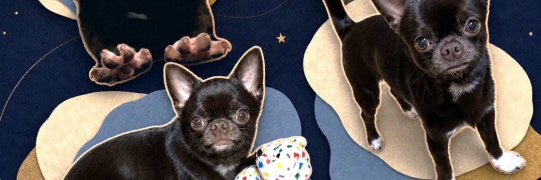 drjoro's profile banner image