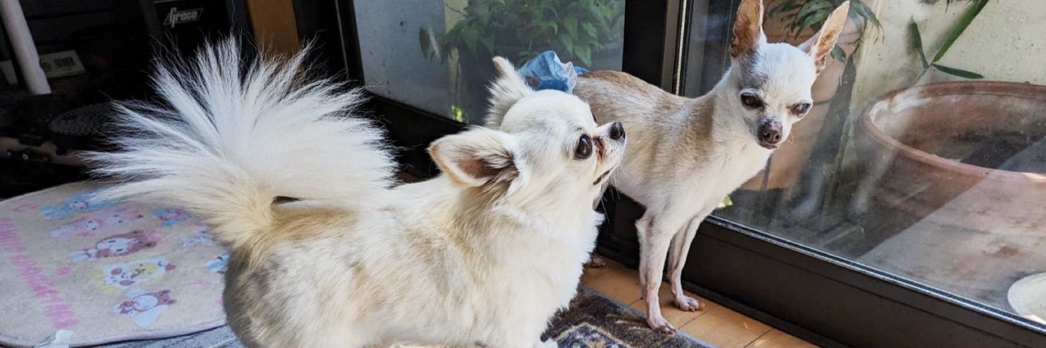 ゆる犬べに's banner