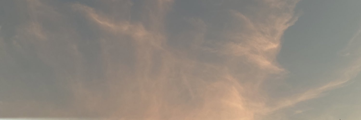 rochapedroo's profile banner image