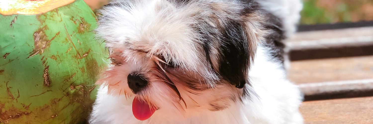 bbduraes_'s profile banner image