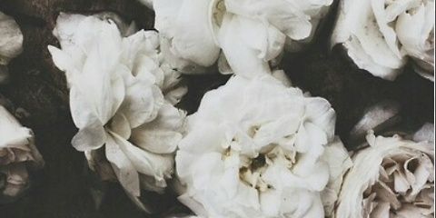 geehaslemon's profile banner image
