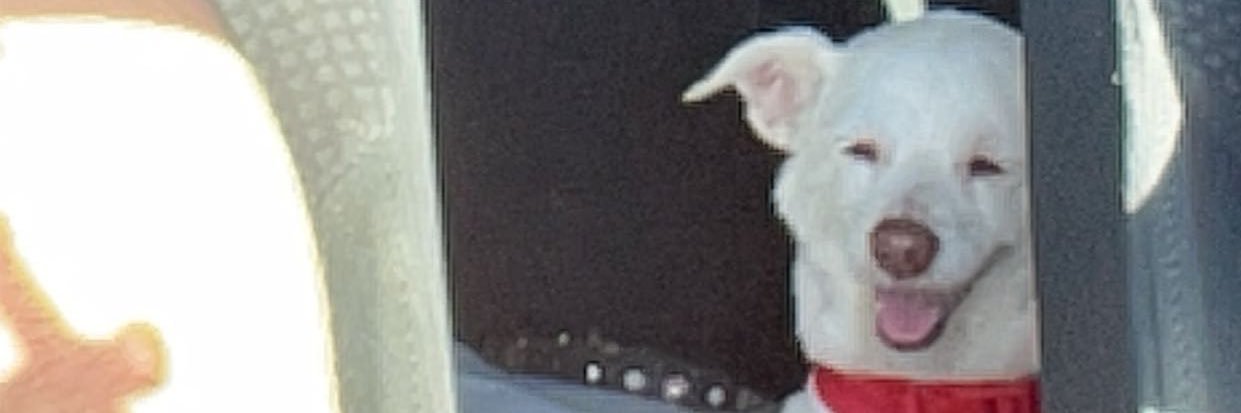 miguel12602's profile banner image