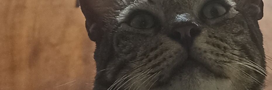 adngfattah's profile banner image