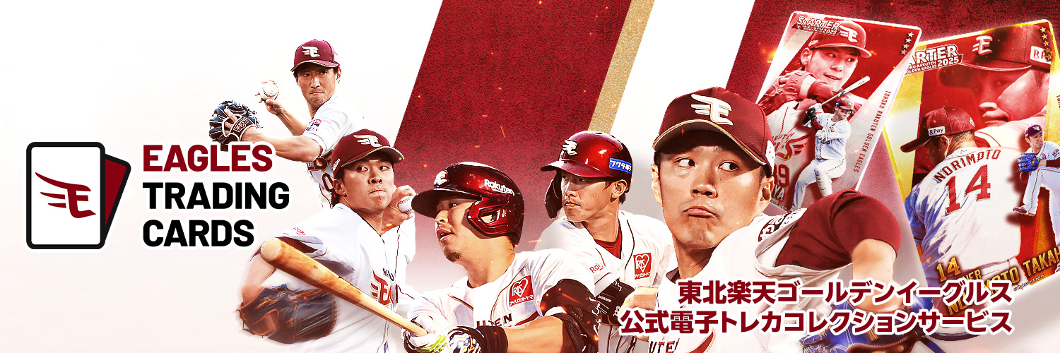 【公式】イーグルストレカ's banner