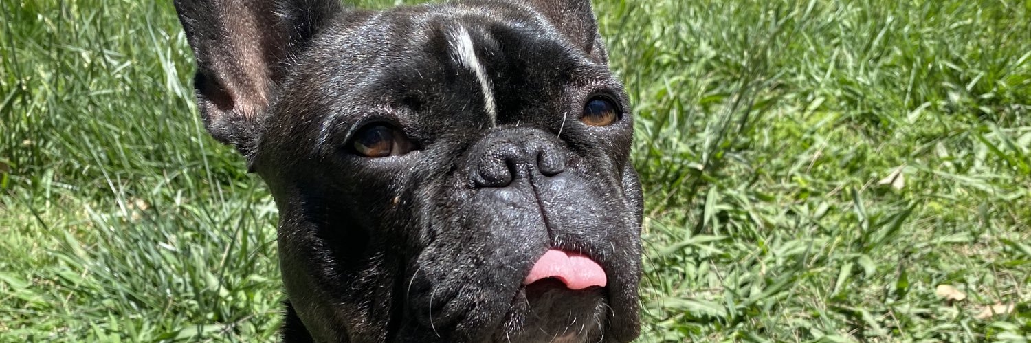 carogk's profile banner image