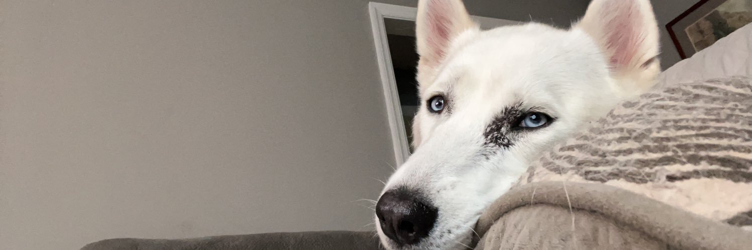 HuntuhSmith's profile banner image