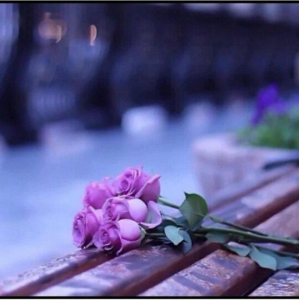 tagh10399's profile banner image