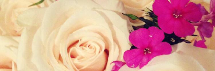Monse_Mejia's profile banner image