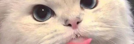 cyntiagethigh's profile banner image