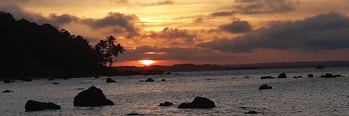 laliibruno's profile banner image
