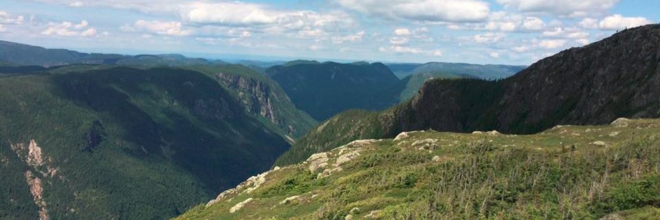 brewsfromthetop's profile banner image