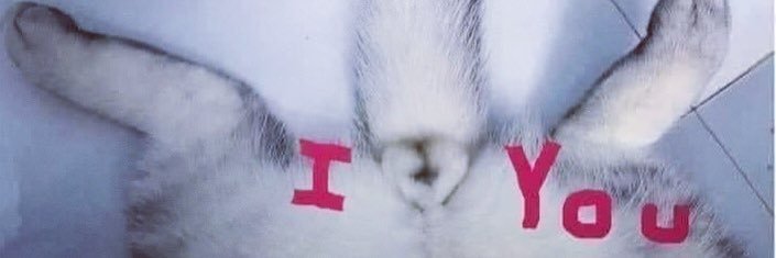 Llenadiodio's profile banner image