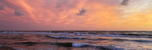 safia______ Profile Banner