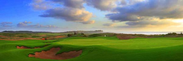 prdude Profile Banner