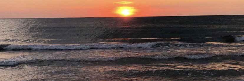 sydney__1's profile banner image