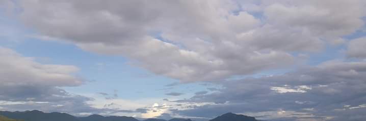 fon banner