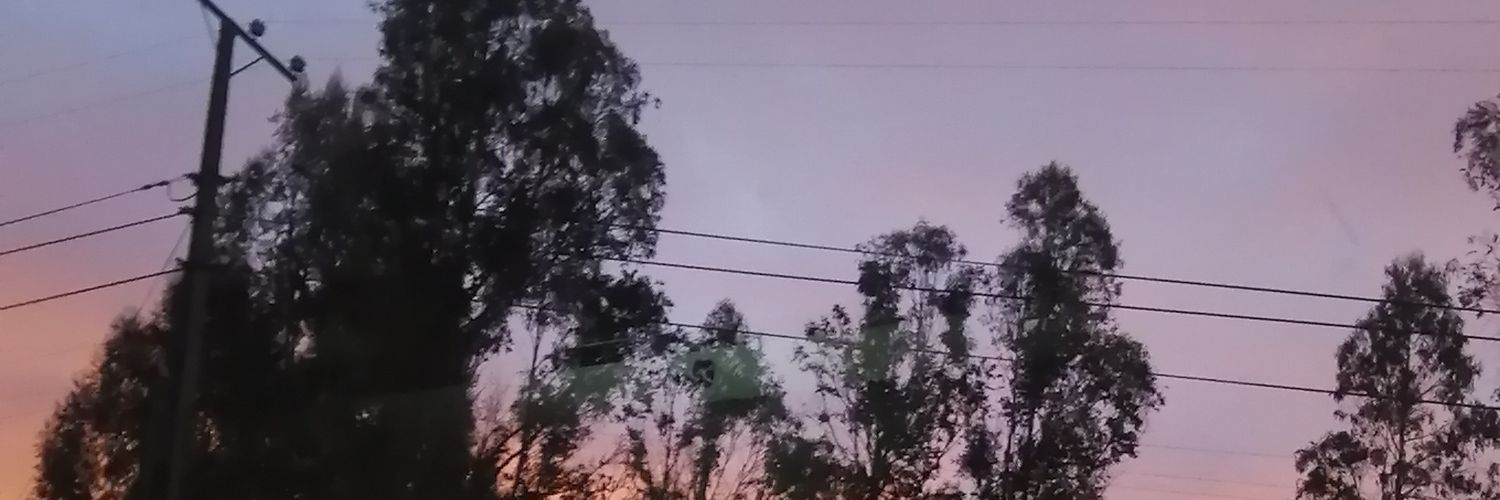 _javivega's profile banner image