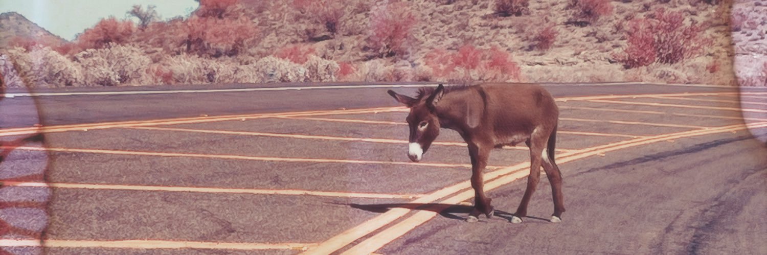LEMONDEAH's profile banner image