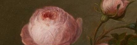 Rositaagl banner